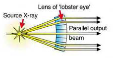 Diagram showing how a lobster eye lens working in reverse generates a parallel X-ray beam. Adapted from  Chown, Ref. 9.